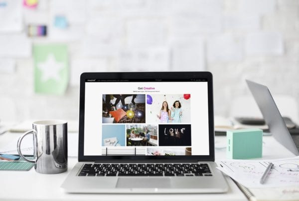Tampa web design wordpress website hire a creative director
