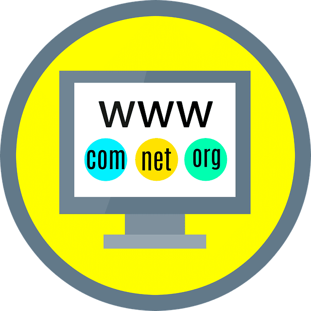 domain, website, blogging